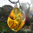 Bernsteinanhänger mit Fliegen-Inkluse, einzigartig und maritim