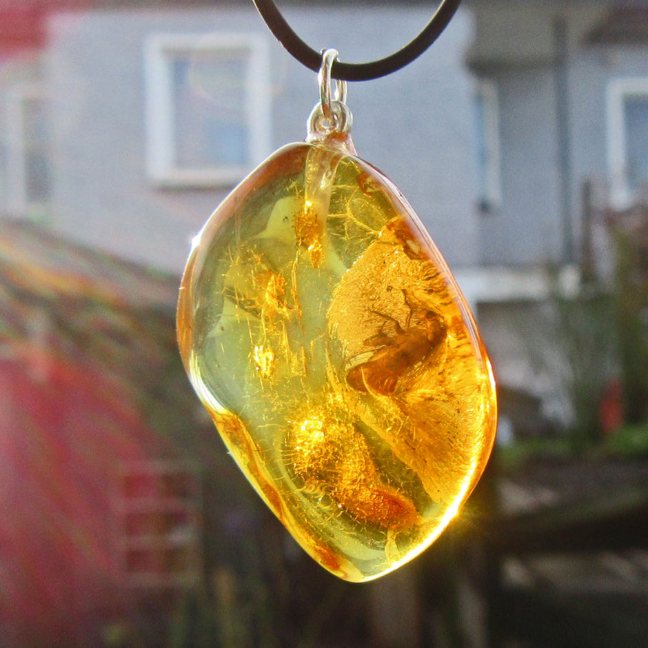 Bernsteinanhänger mit Fliegen-Inkluse, einzigartig und maritim