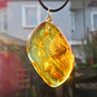 Bernsteinanhänger mit Fliegen-Inkluse, einzigartig und maritim