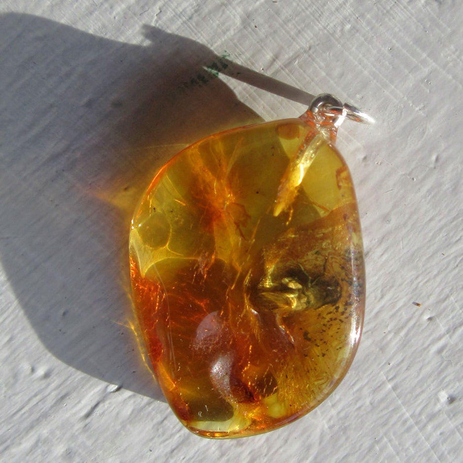 Bernsteinanhänger mit Fliegen-Inkluse, einzigartig und maritim
