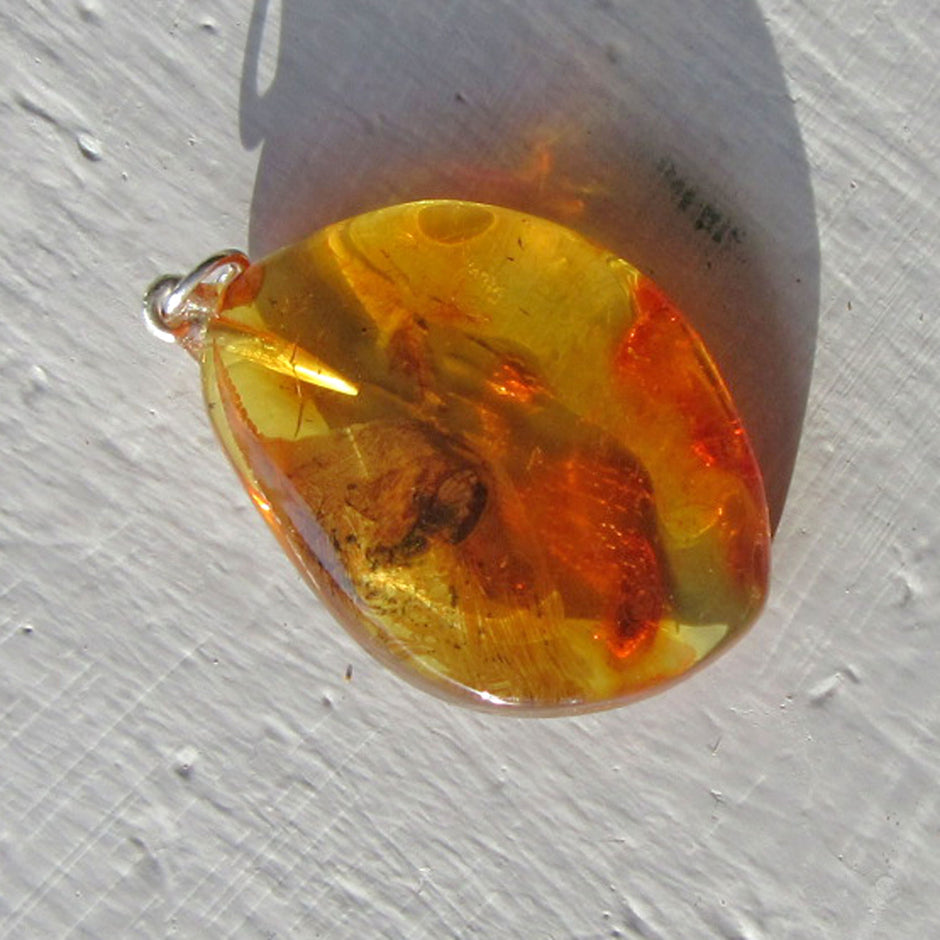 Bernsteinanhänger mit Fliegen-Inkluse, einzigartig und maritim