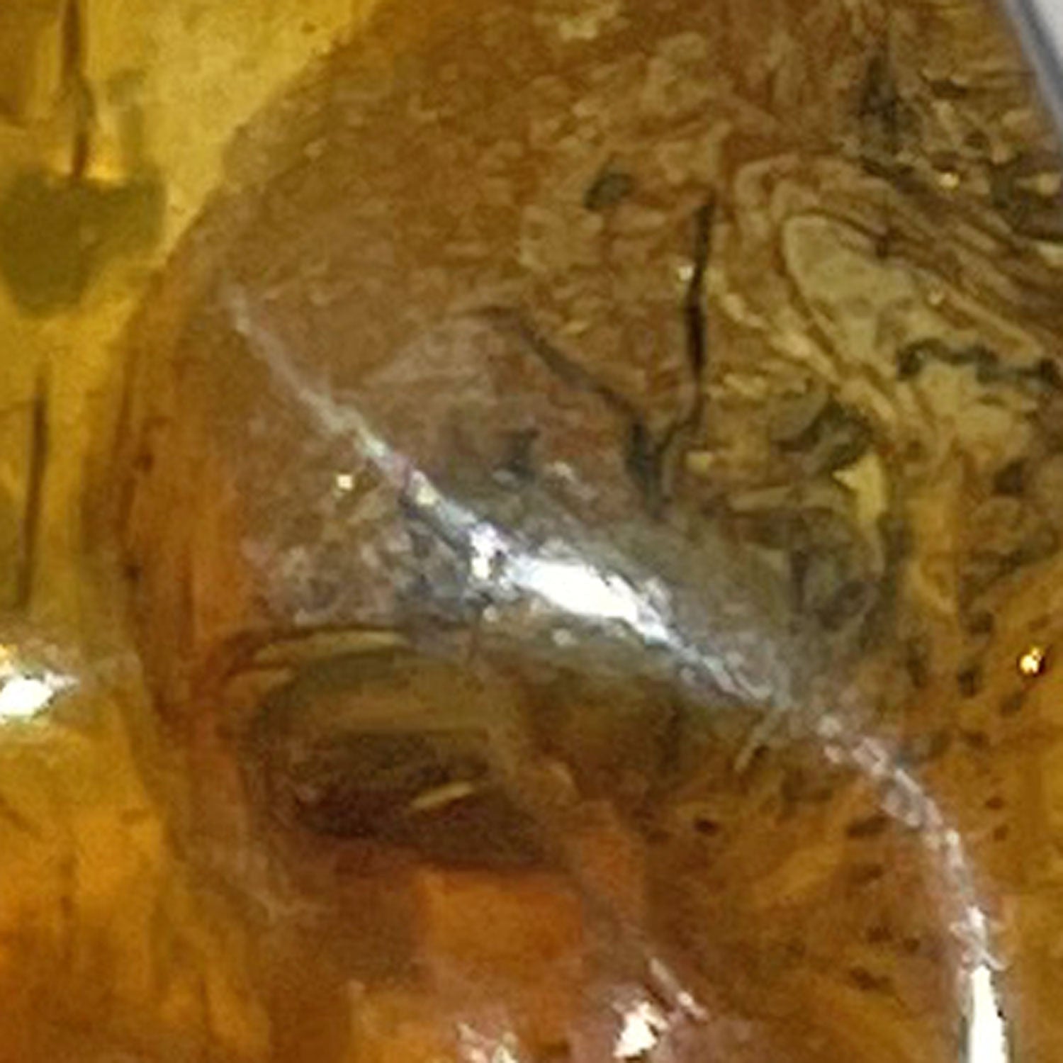 Bernsteinanhänger mit Fliegen-Inkluse, einzigartig und maritim