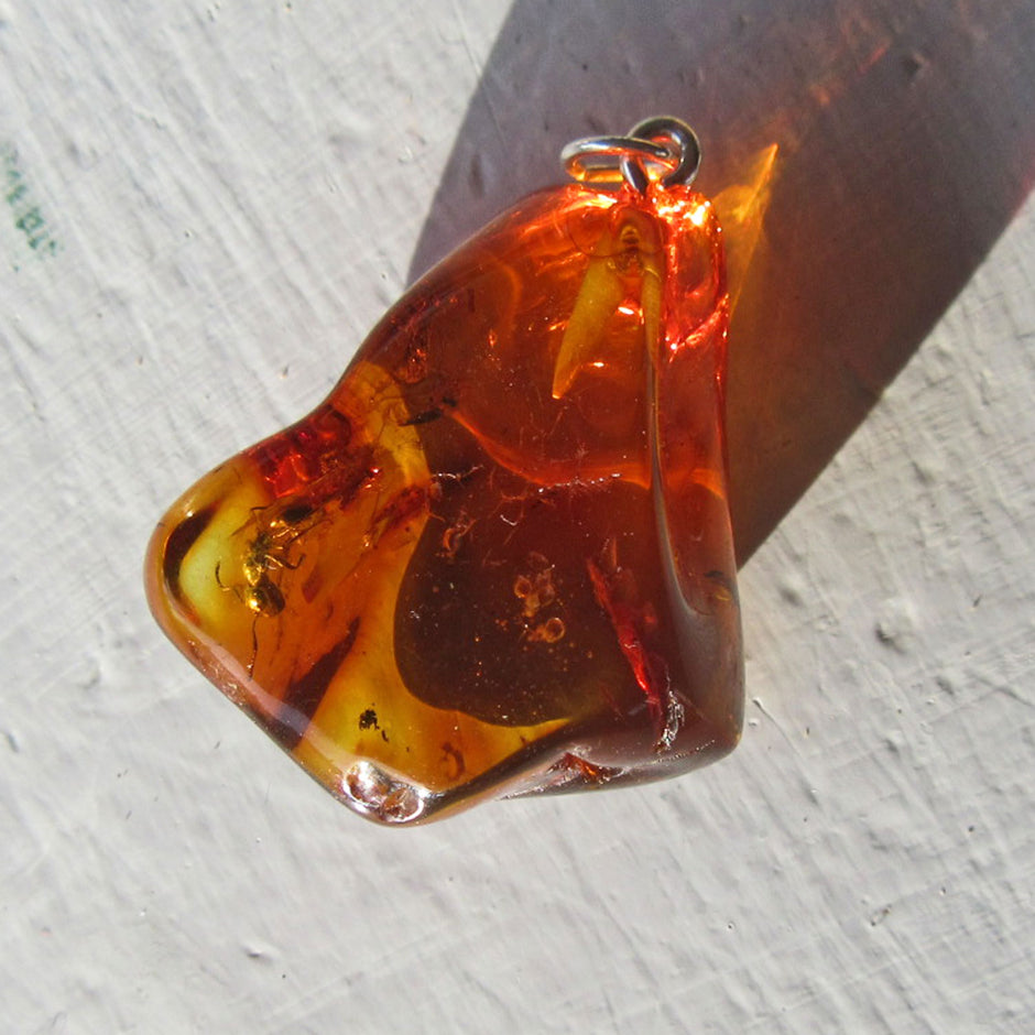 Einzigartiger Bernstein-Anhänger mit Ameisen-Inklusen