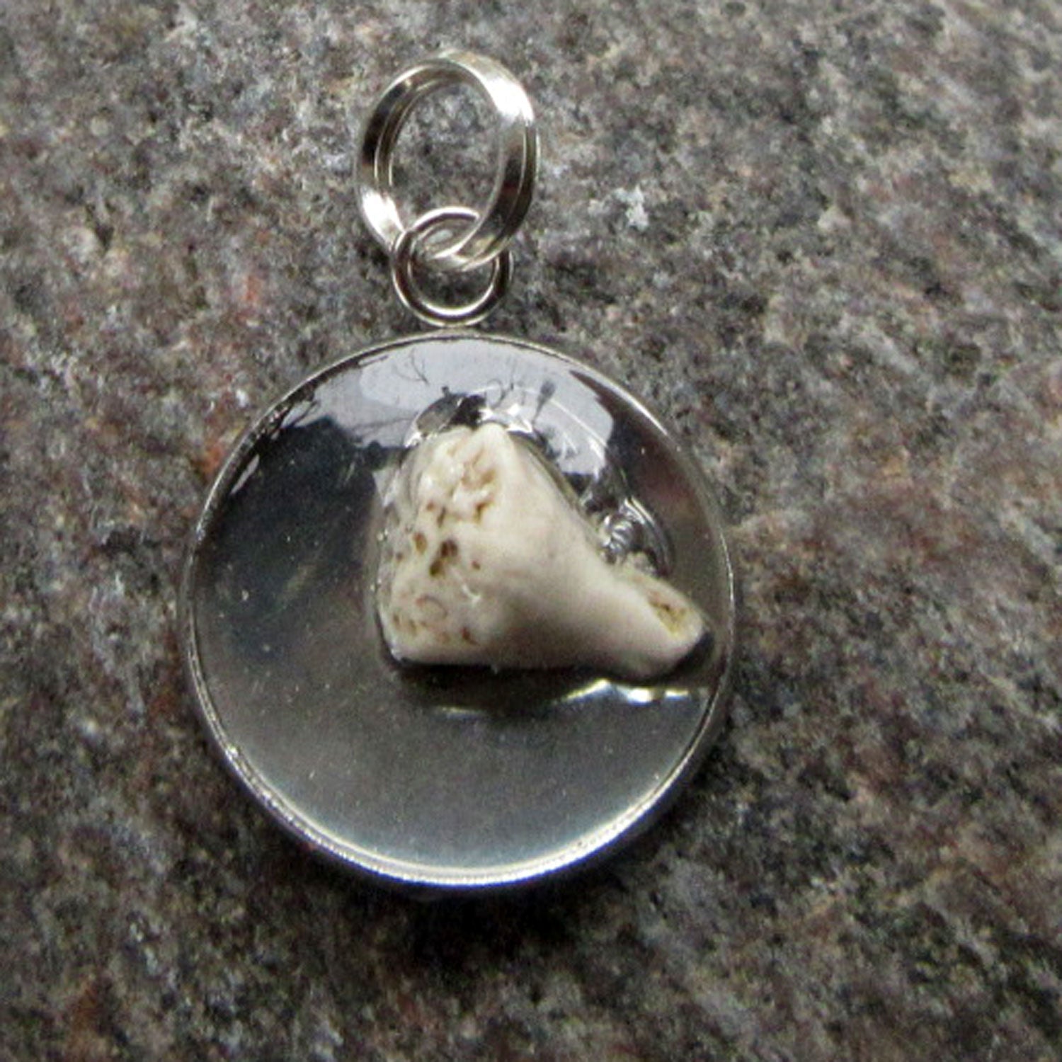 Runder Anhänger mit fossiler Koralle in Kunstharz