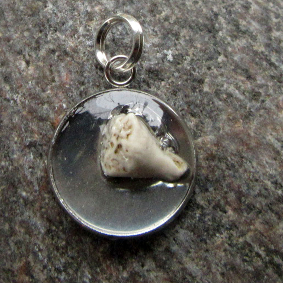 Runder Anhänger mit fossiler Koralle in Kunstharz