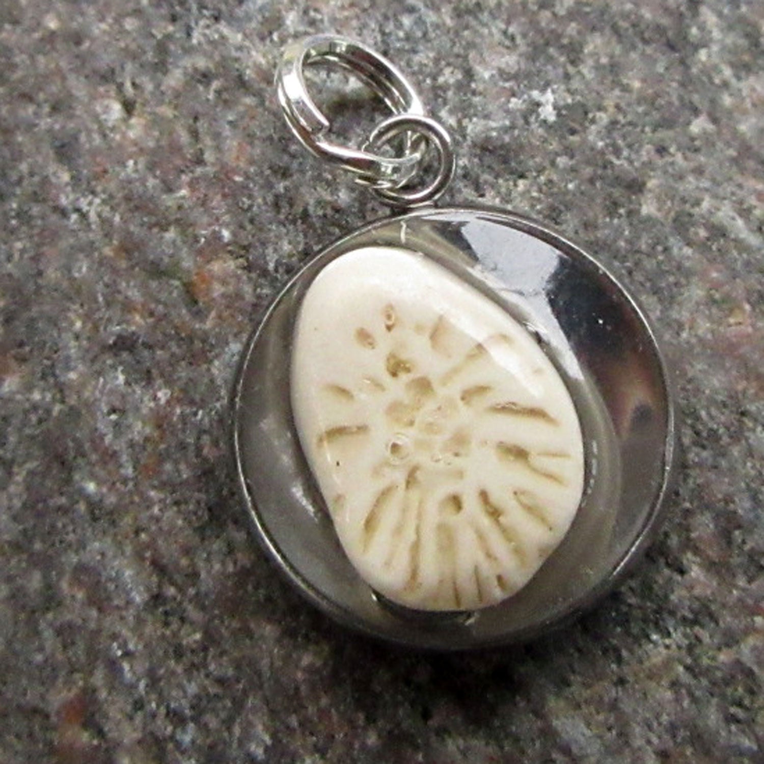 Runder Anhänger mit fossiler Koralle von Rügen