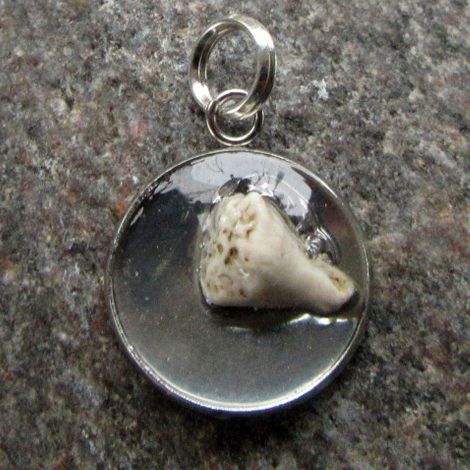 Runder Anhänger mit fossiler Koralle in Kunstharz