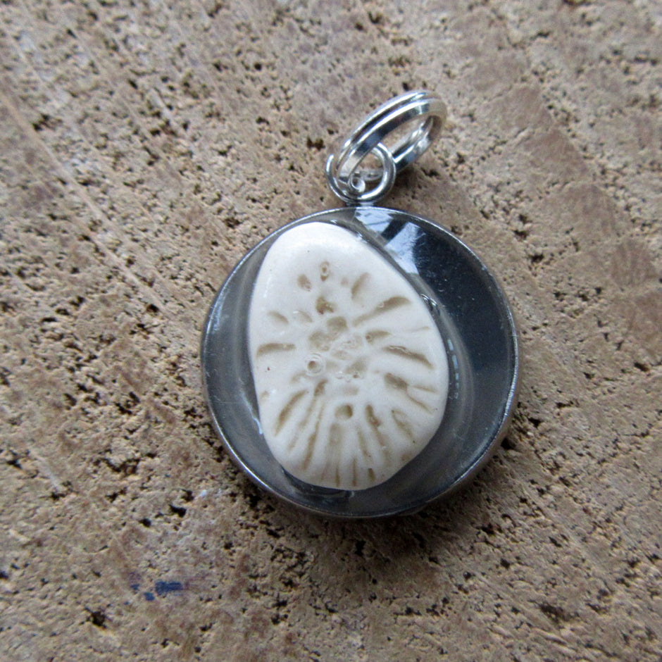 Runder Anhänger mit fossiler Koralle von Rügen