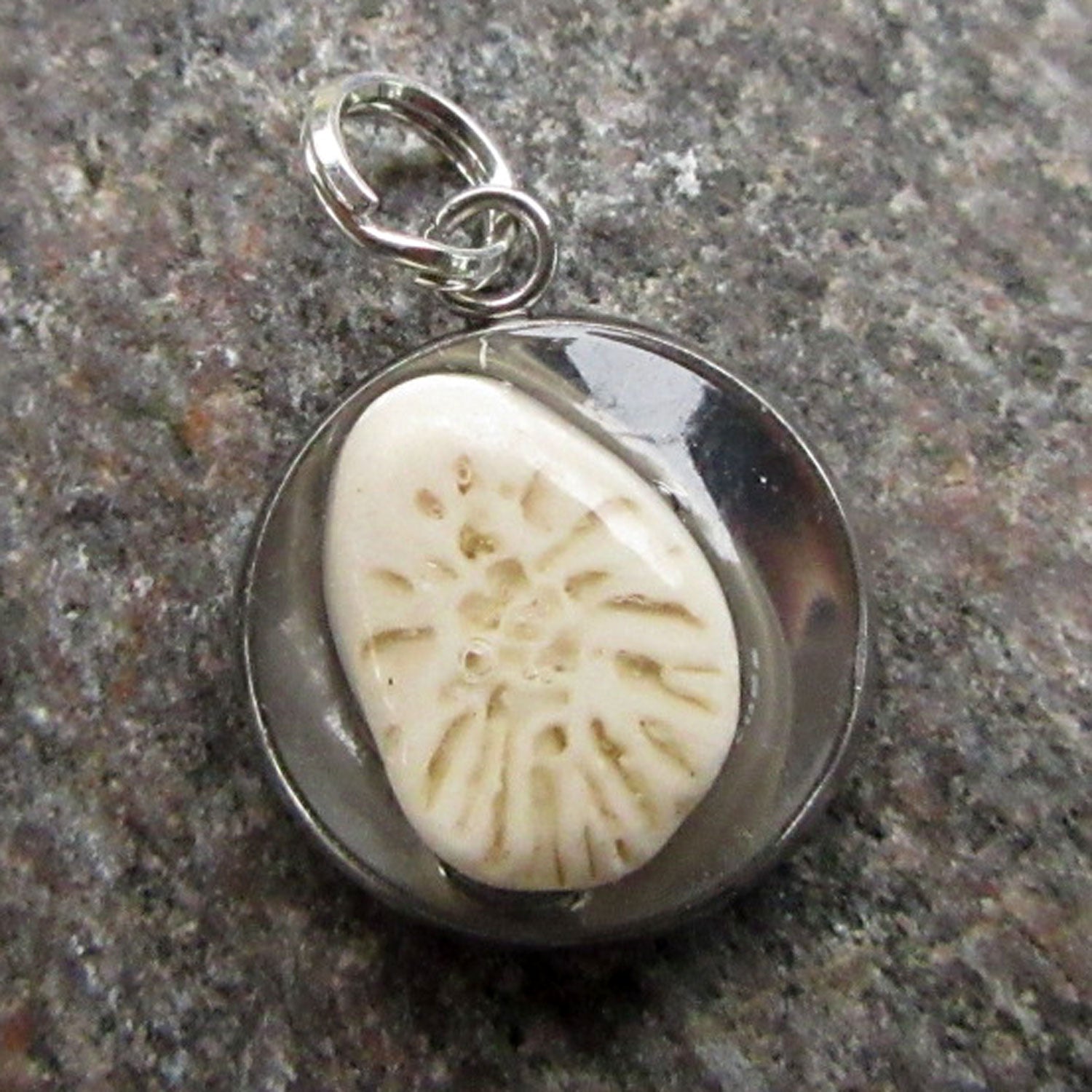 Runder Anhänger mit fossiler Koralle von Rügen