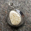 Runder Anhänger mit fossiler Koralle von Rügen