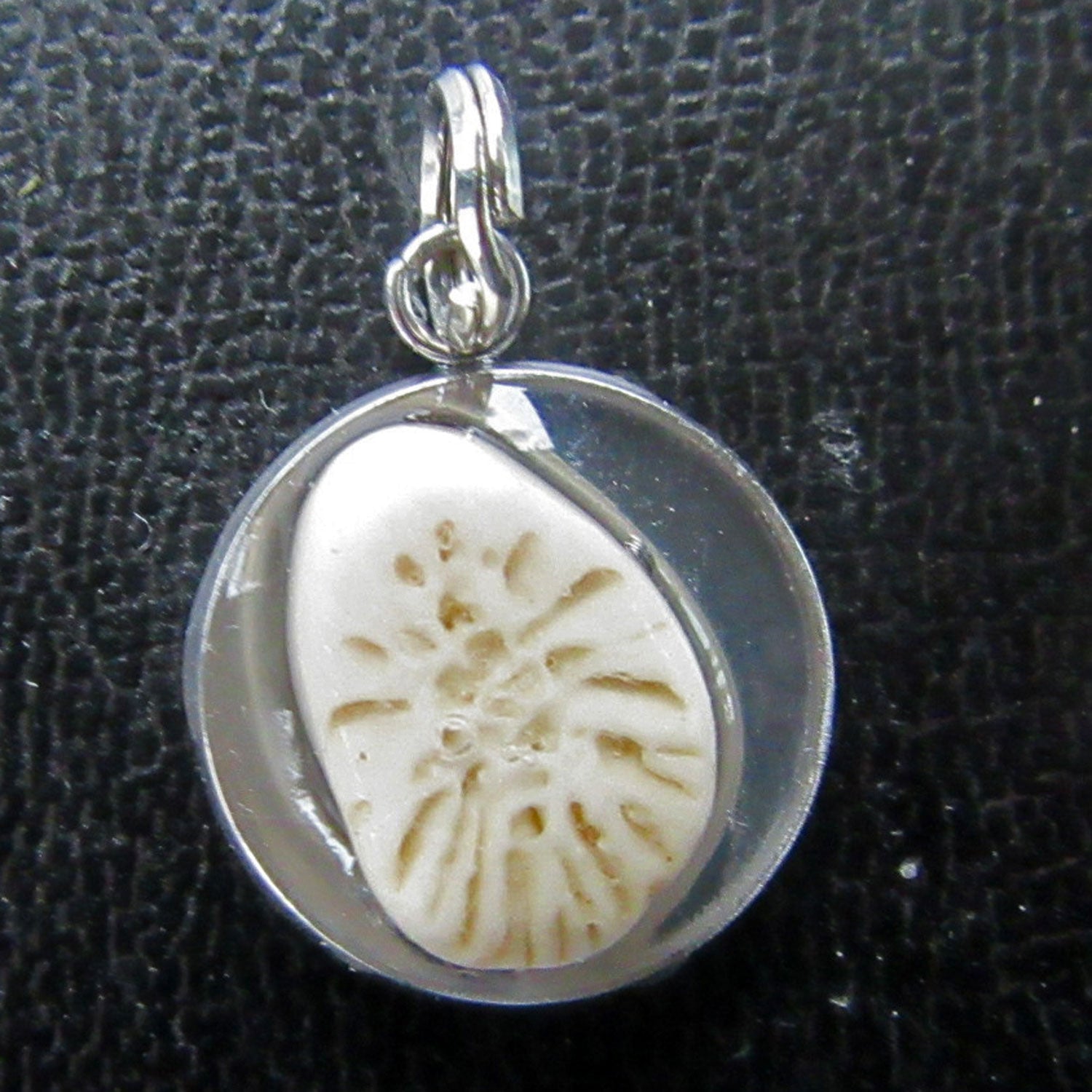Runder Anhänger mit fossiler Koralle von Rügen