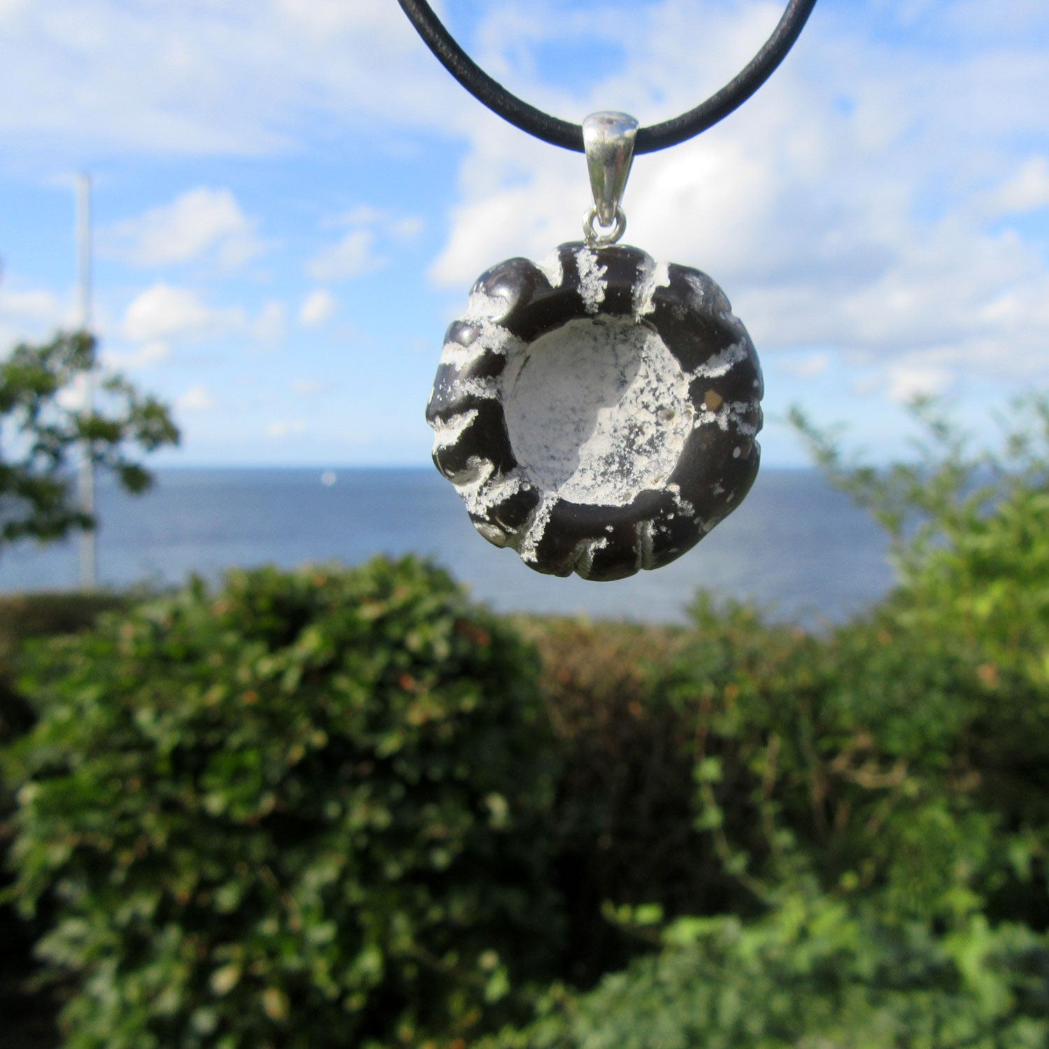 Polierter Steinkern eines Kronenseeigels an Silberöse