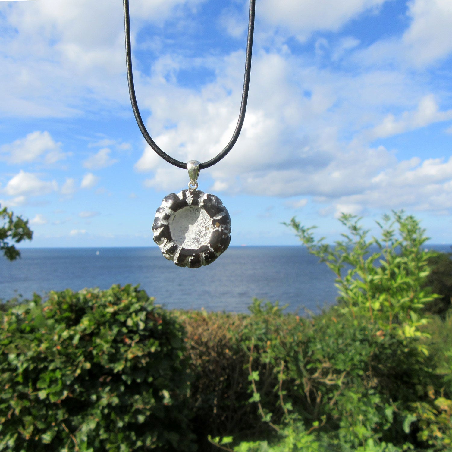 Polierter Steinkern eines Kronenseeigels an Silberöse