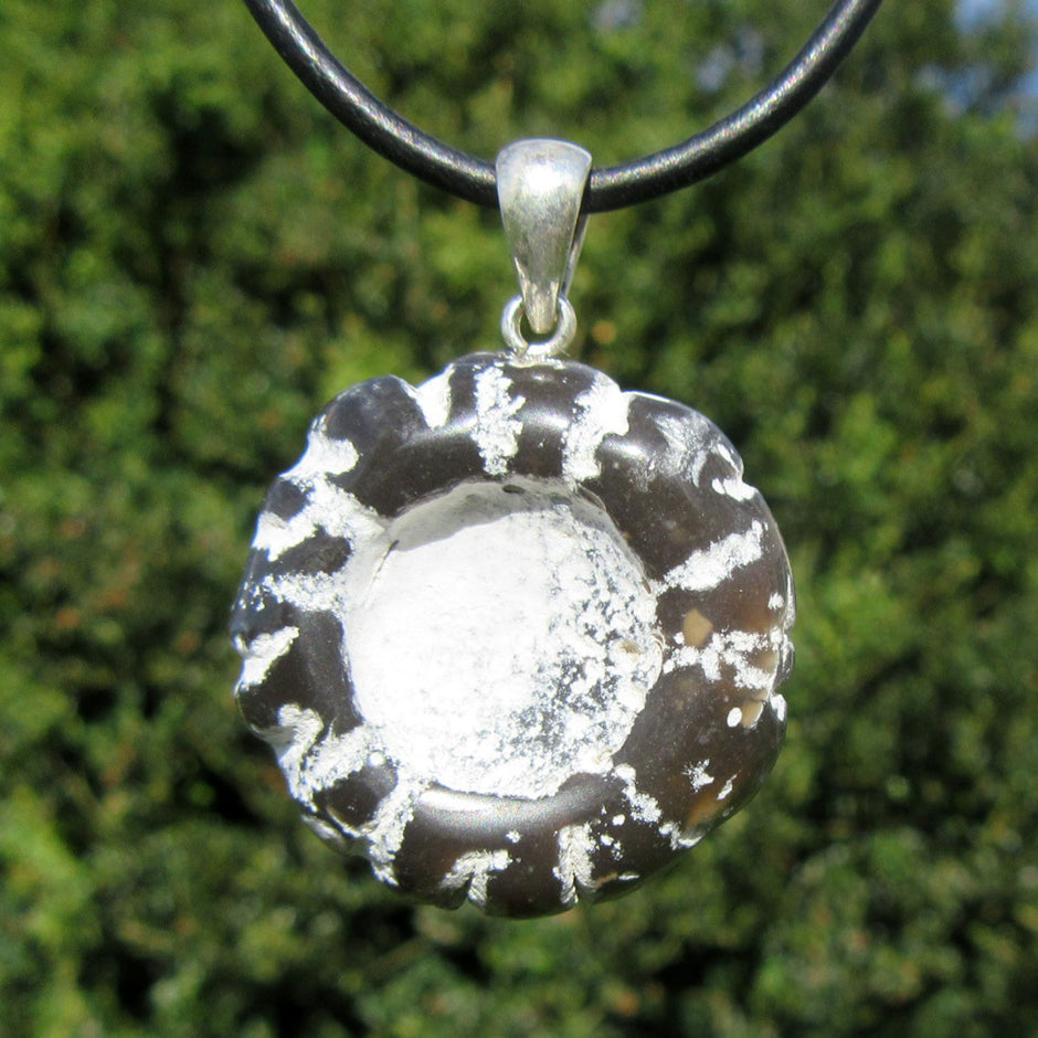 Polierter Steinkern eines Kronenseeigels an Silberöse