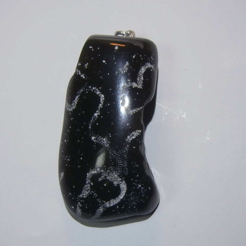 Fossil-Anhänger Moostierchen auf Feuerstein mit Silberöse