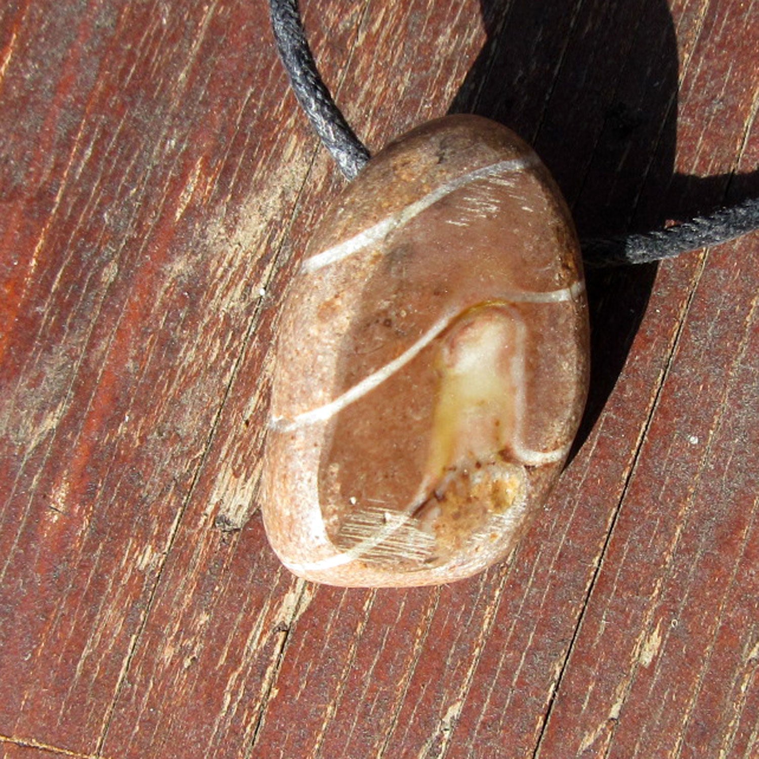 Rötlicher Orthoceras Geradhorn am Baumwollband, Unikat