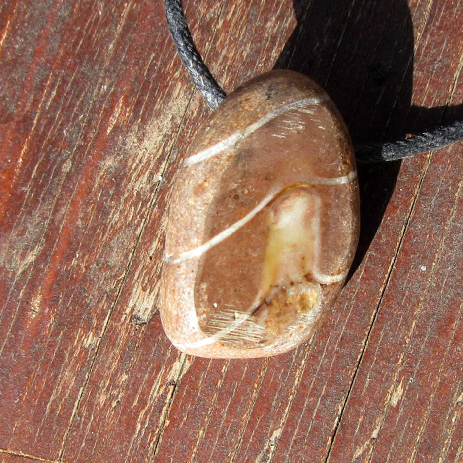 Rötlicher Orthoceras Geradhorn am Baumwollband, Unikat