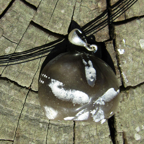 Versteinerte Seeigeloberseite mit Silberöse, Unikat