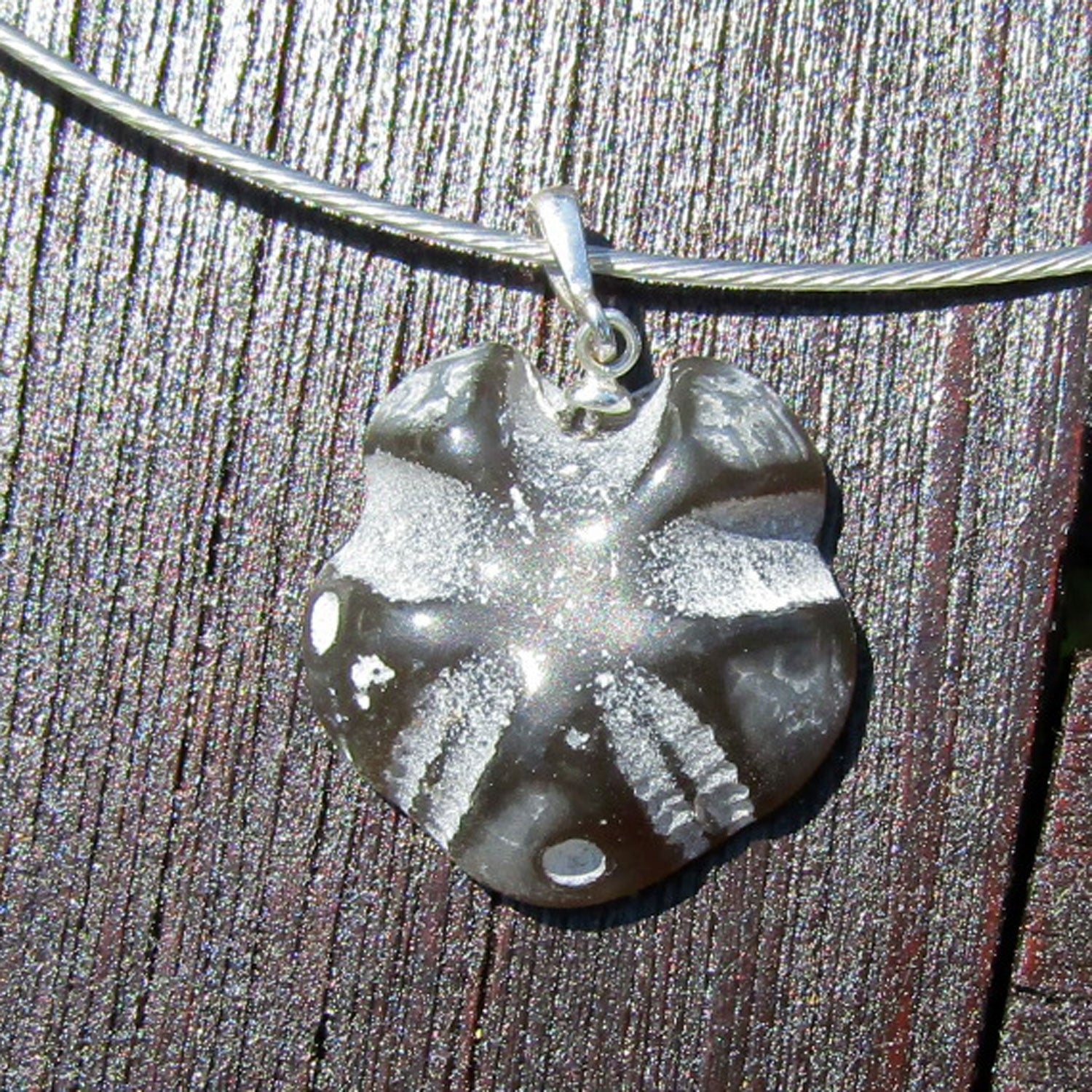 Versteinerte Seeigeloberseite an Silberöse, Unikat