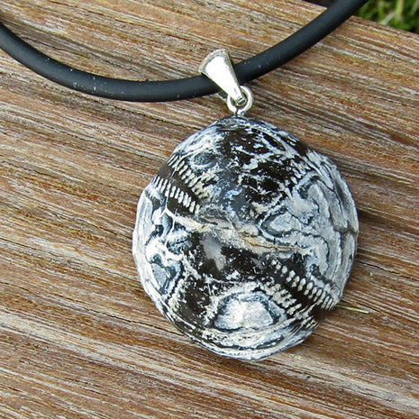 Versteinerter Seeigel, poliert, an Silberöse, Unikat