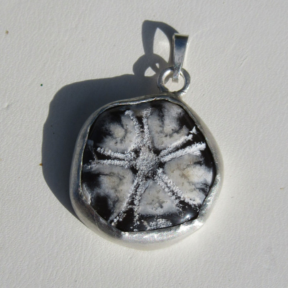 Drahtcollier mit versteinertem Seeigel in Silber gefasst