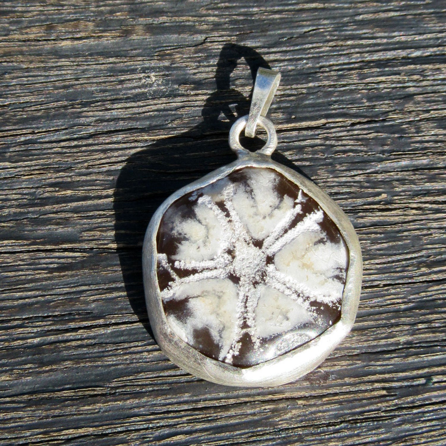 Drahtcollier mit versteinertem Seeigel in Silber gefasst