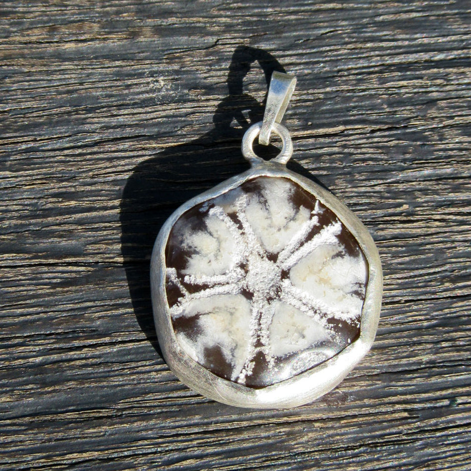 Drahtcollier mit versteinertem Seeigel in Silber gefasst