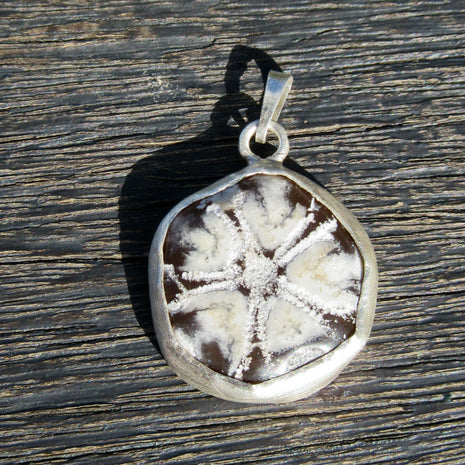 Drahtcollier mit versteinertem Seeigel in Silber gefasst