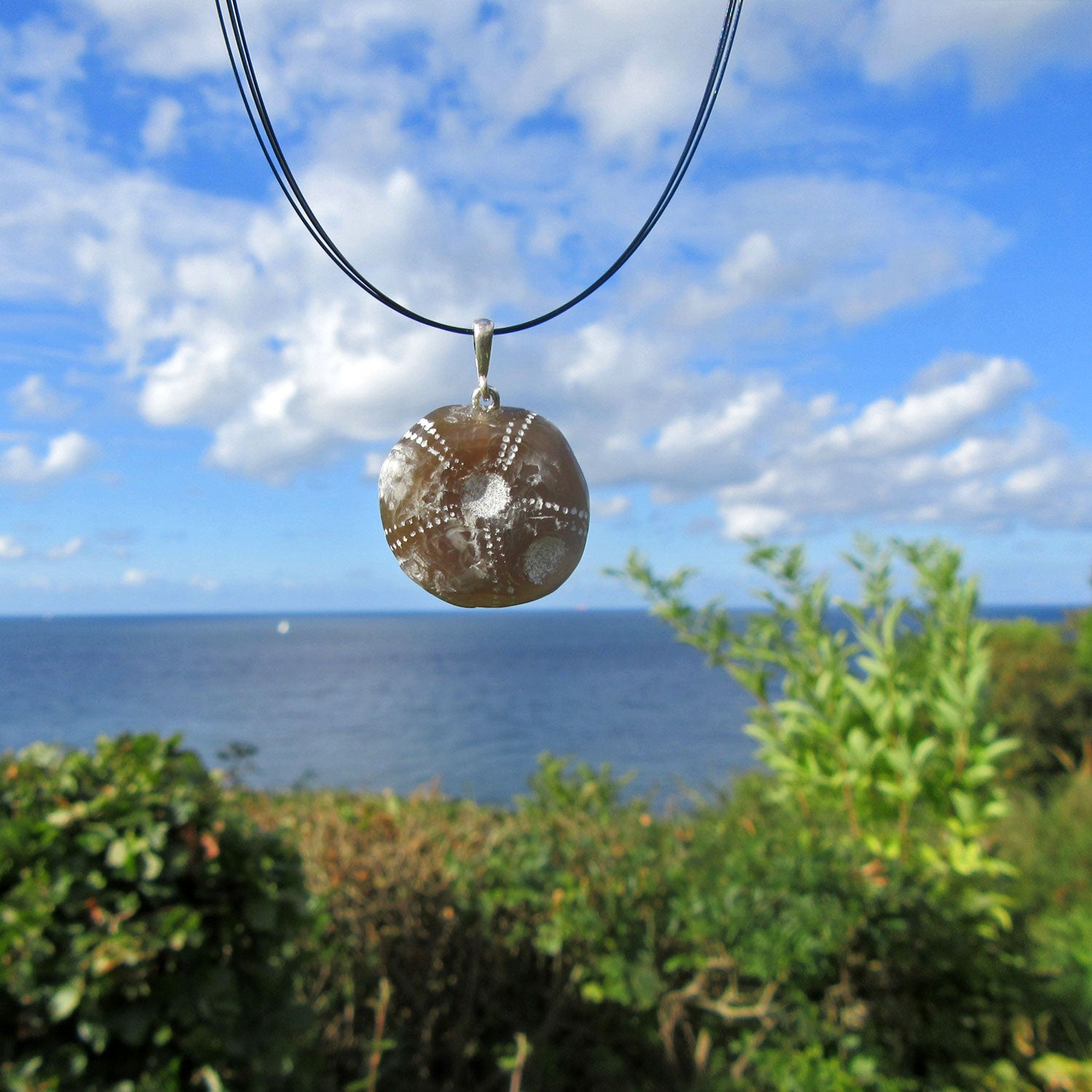 Versteinerte Seeigel-Unterseite, poliert, Silberöse, Unikat