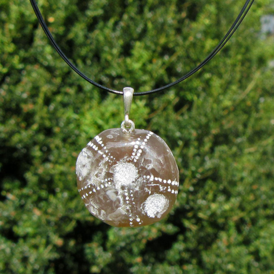 Versteinerte Seeigel-Unterseite, poliert, Silberöse, Unikat