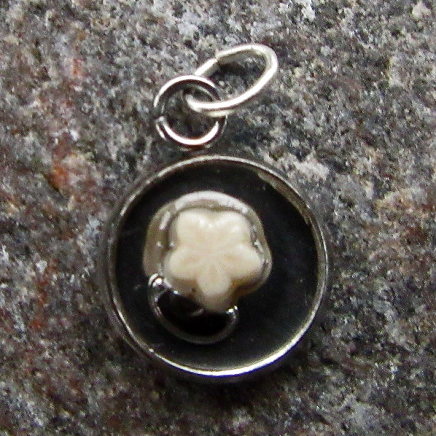 Kleiner runder Anhänger mit Seelilie von Rügen in Kunstharz