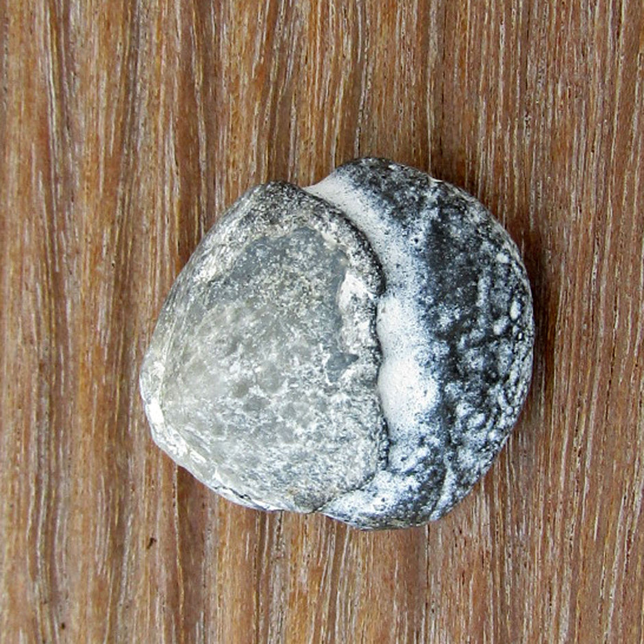 Feuersteinkern eines Brachiopoden von Rügen