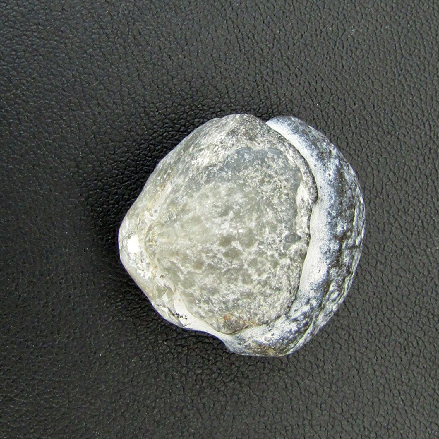 Feuersteinkern eines Brachiopoden von Rügen