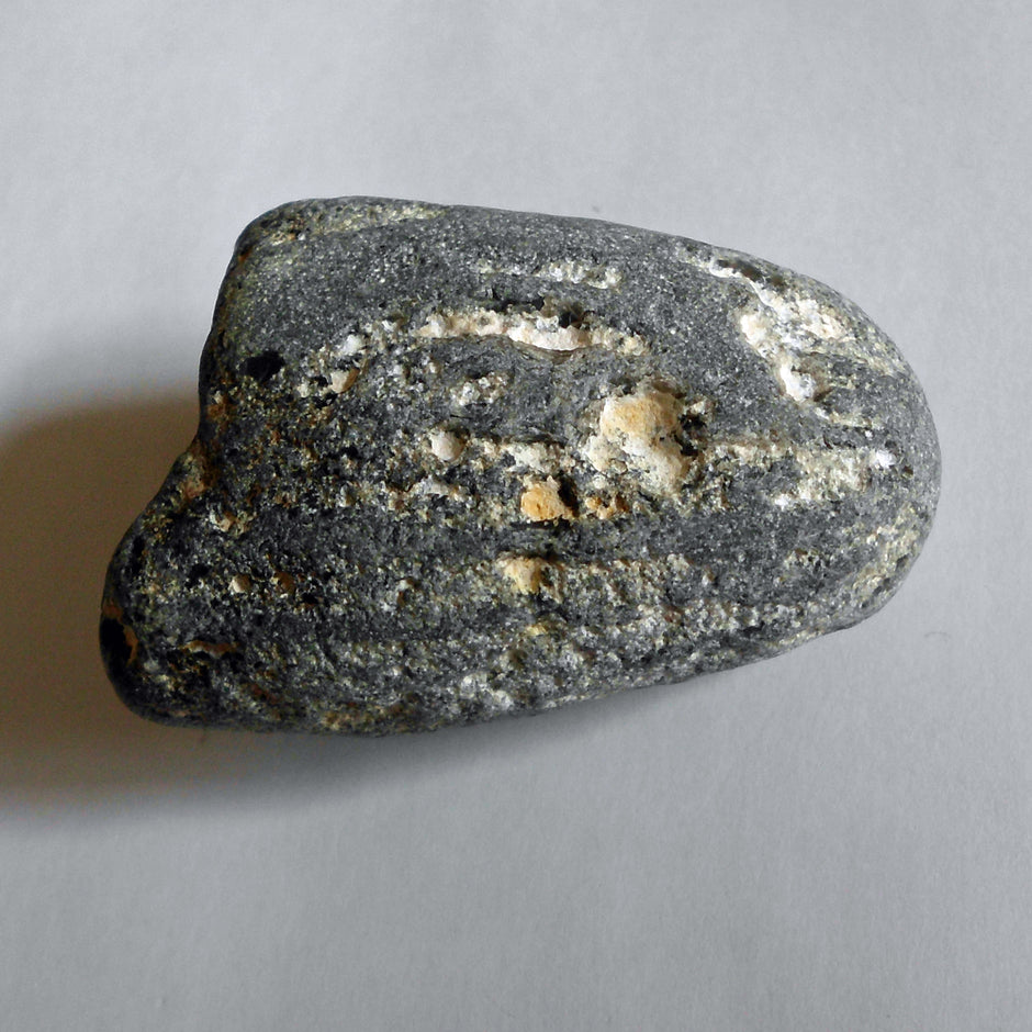 Halber Kieselschwamm Aulaxinia aus Rügener Kreide