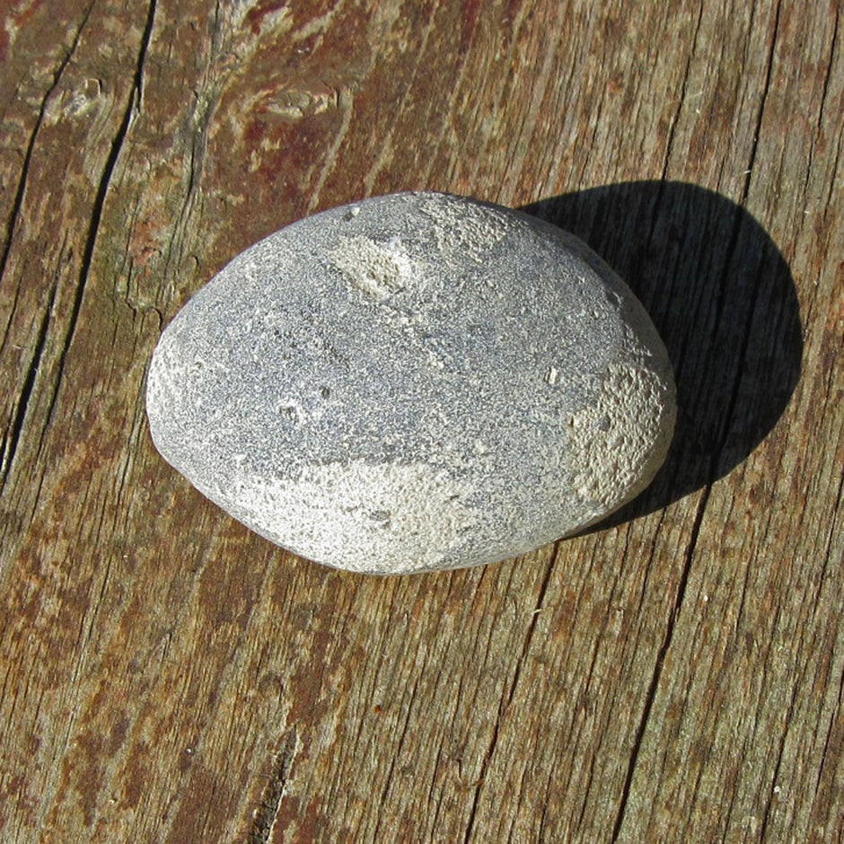 Versteinerter Kieselschwamm Aulaxinia von Rügen, Unikat