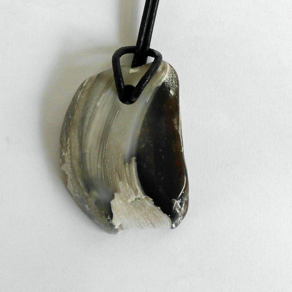 Versteinerte Auster am Lederband – Unikat von Rügen