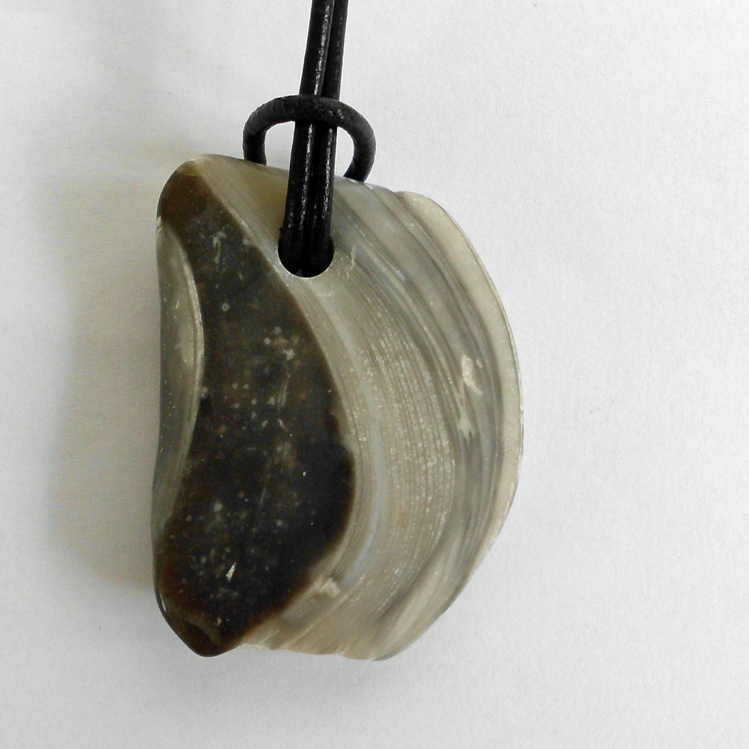 Versteinerte Auster am Lederband – Unikat von Rügen