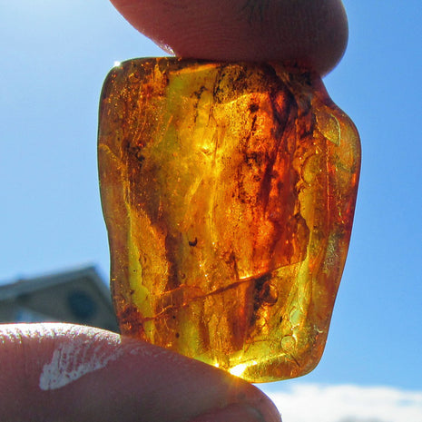 Einzelstück Bernstein mit Inklusen von der Ostsee-Insel