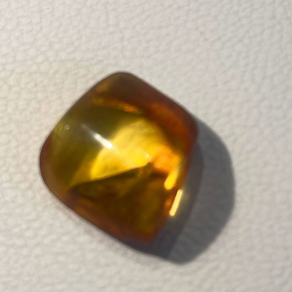 Kleiner Bernstein mit Inkluse – Fliege, handverlesen