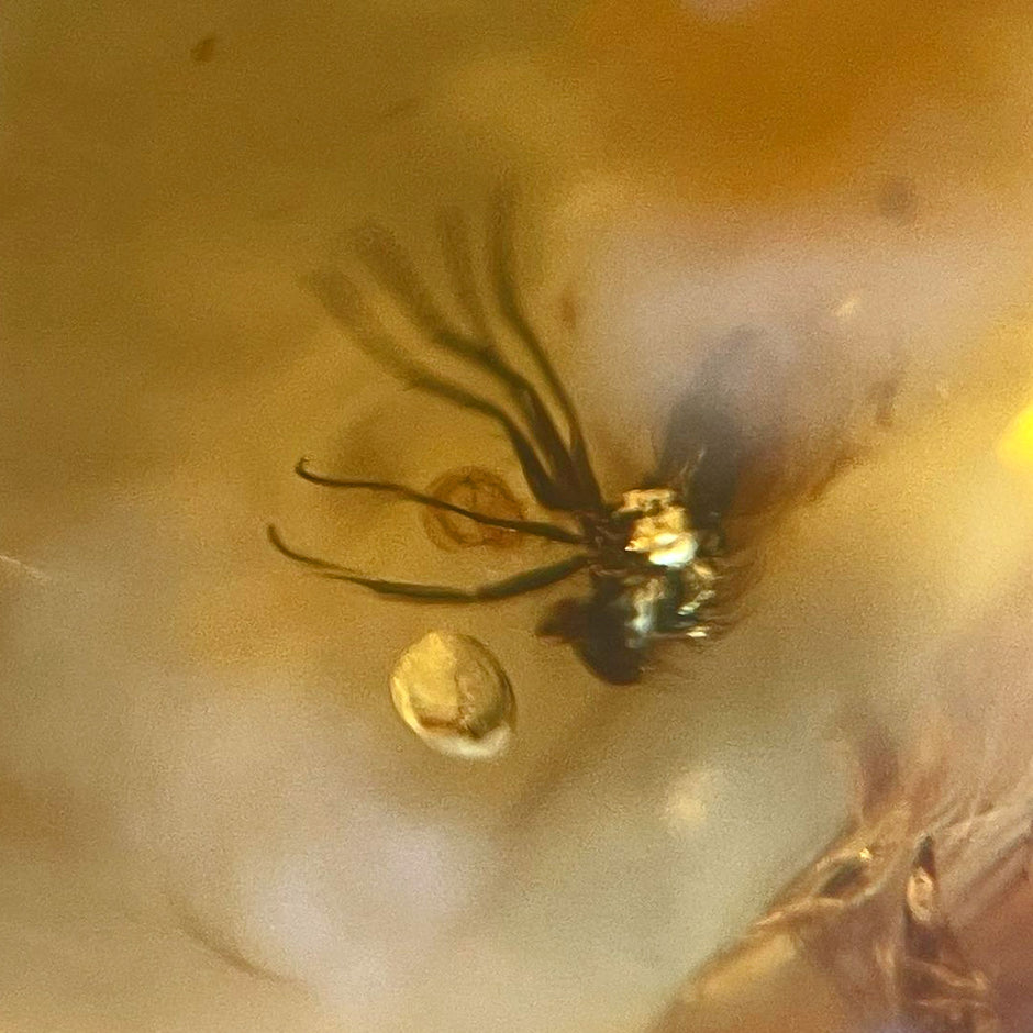 Einzigartiger Bernsteinanhänger mit Fliegen-Inklusen