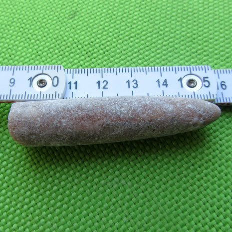 Einmaliger Belemnit Donnerkeil aus Rügener Kreide