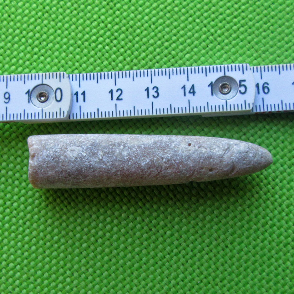 Einmaliger Belemnit Donnerkeil aus Rügener Kreide