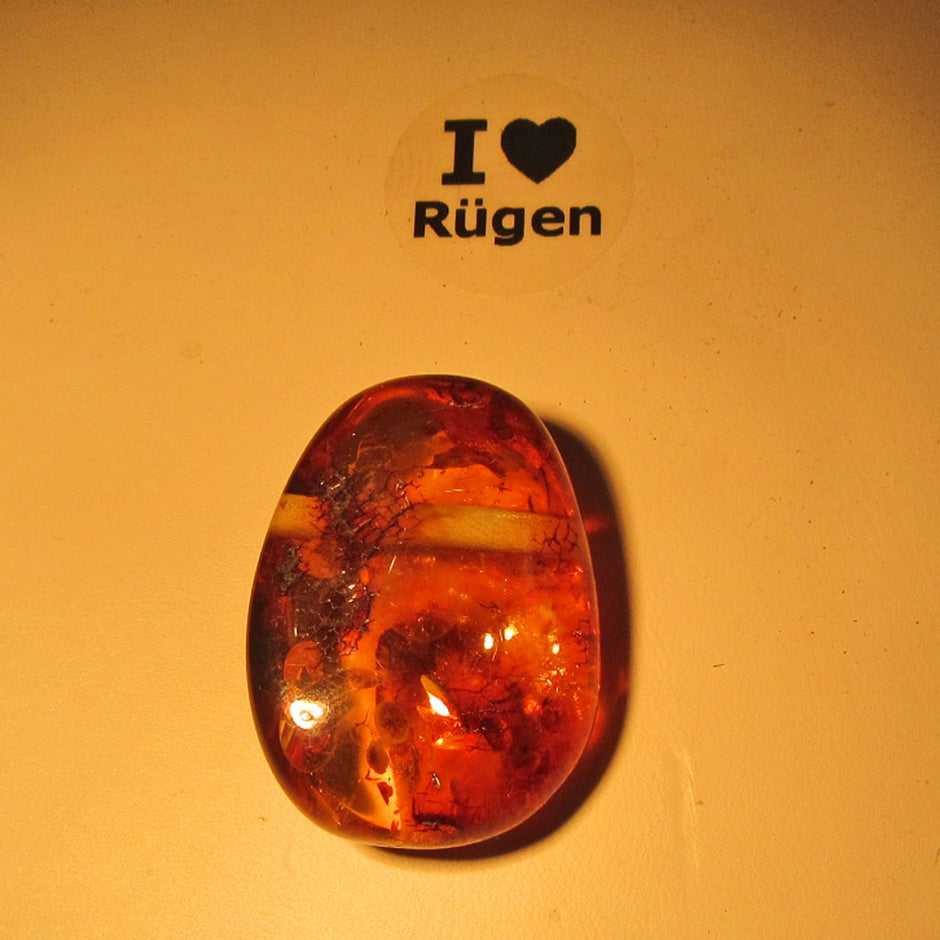 Elegantes Bernsteinstück von der Ostsee-Insel Rügen