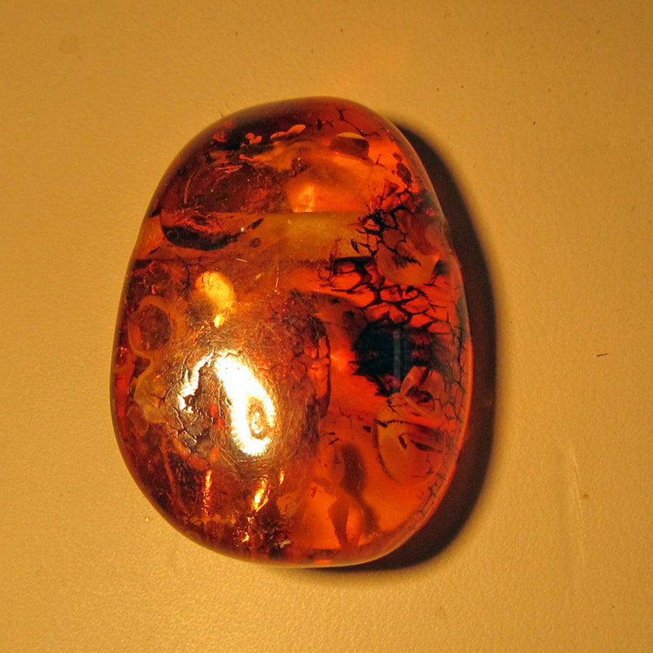 Elegantes Bernsteinstück von der Ostsee-Insel Rügen