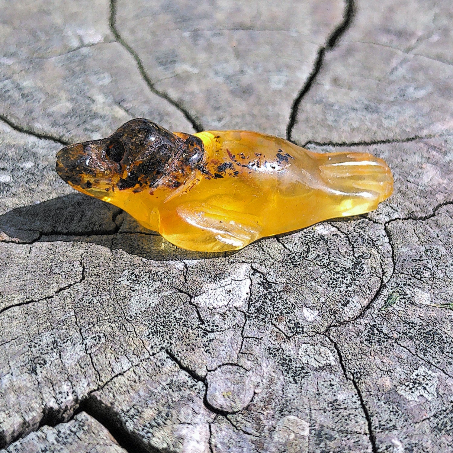 Seehund aus hellem Bernstein – maritimes Unikat