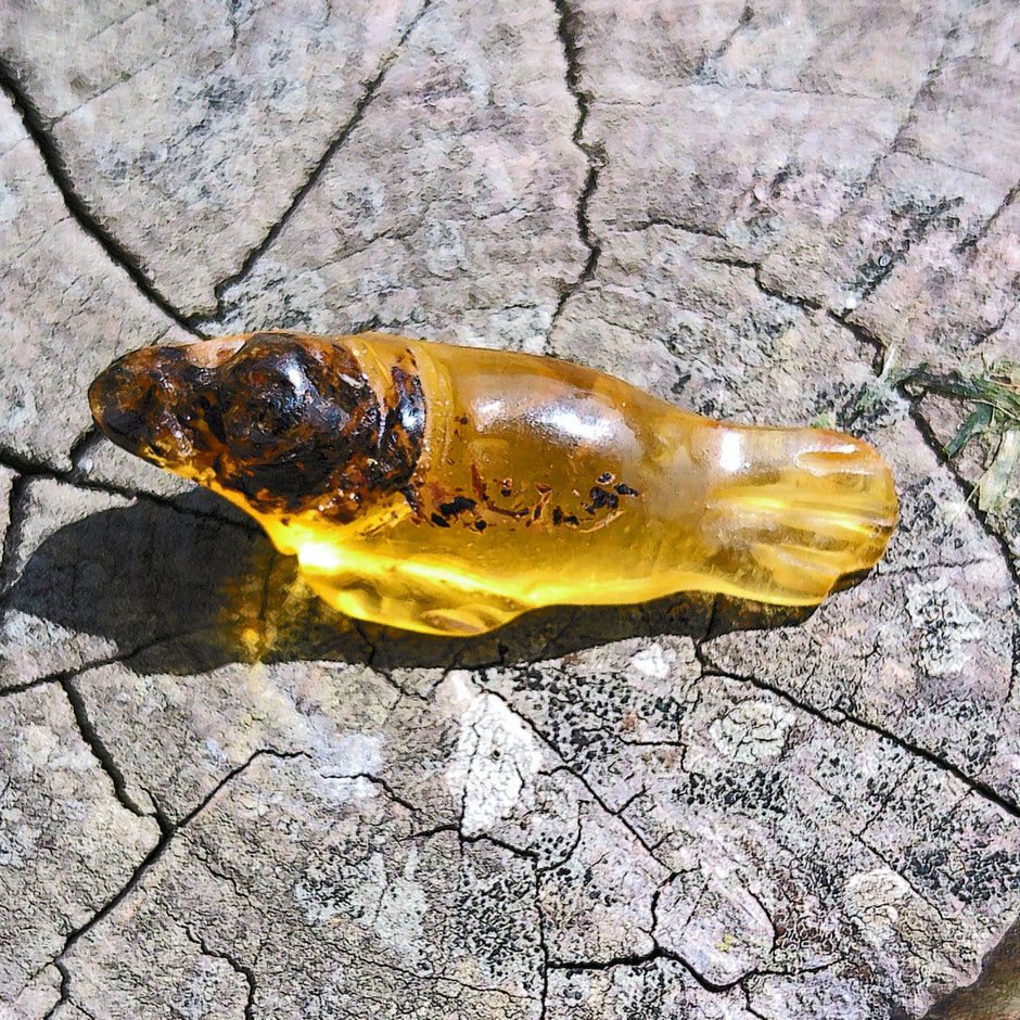 Seehund aus hellem Bernstein – maritimes Unikat