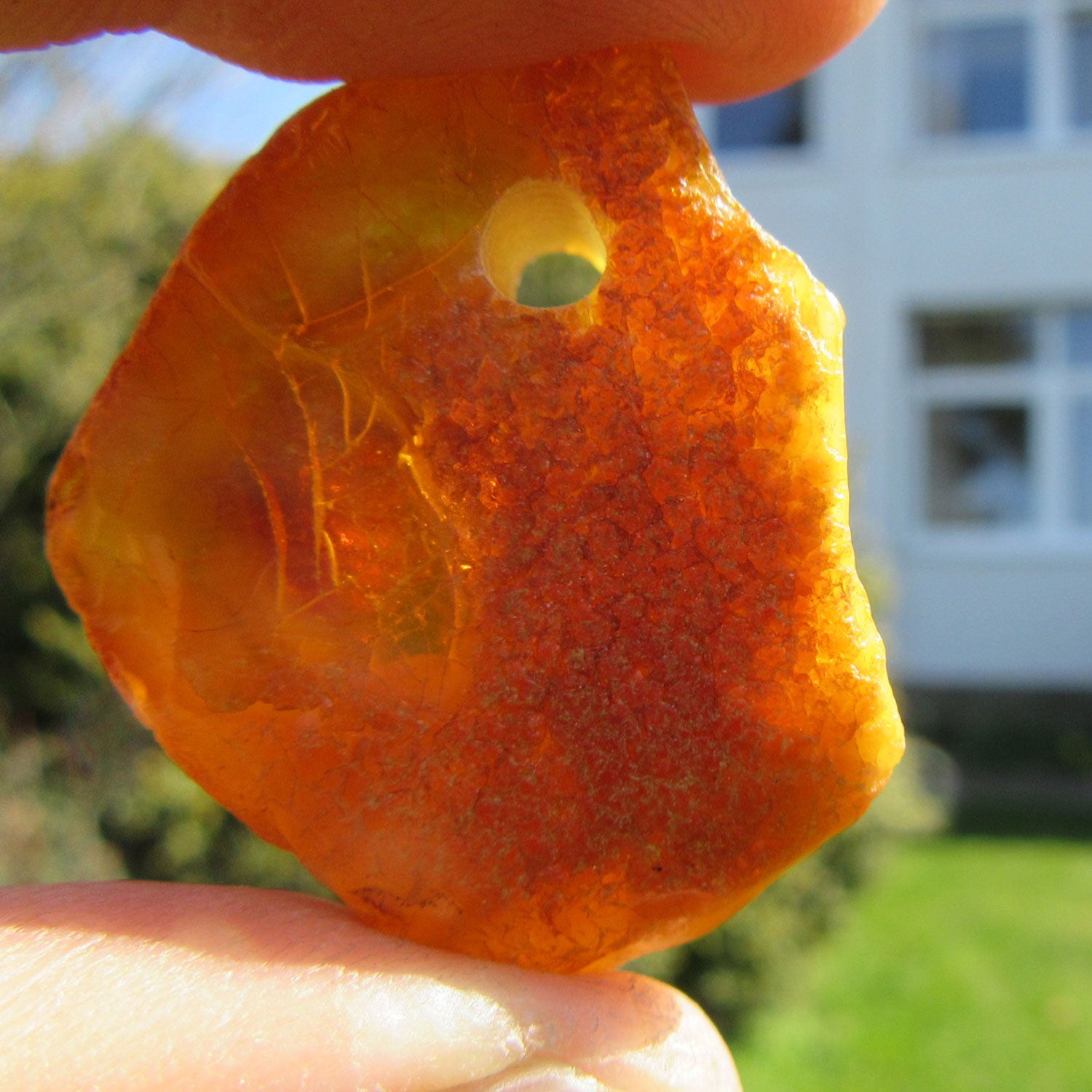 Einzigartiger, unpolierter Ostseebernstein von Hiddensee