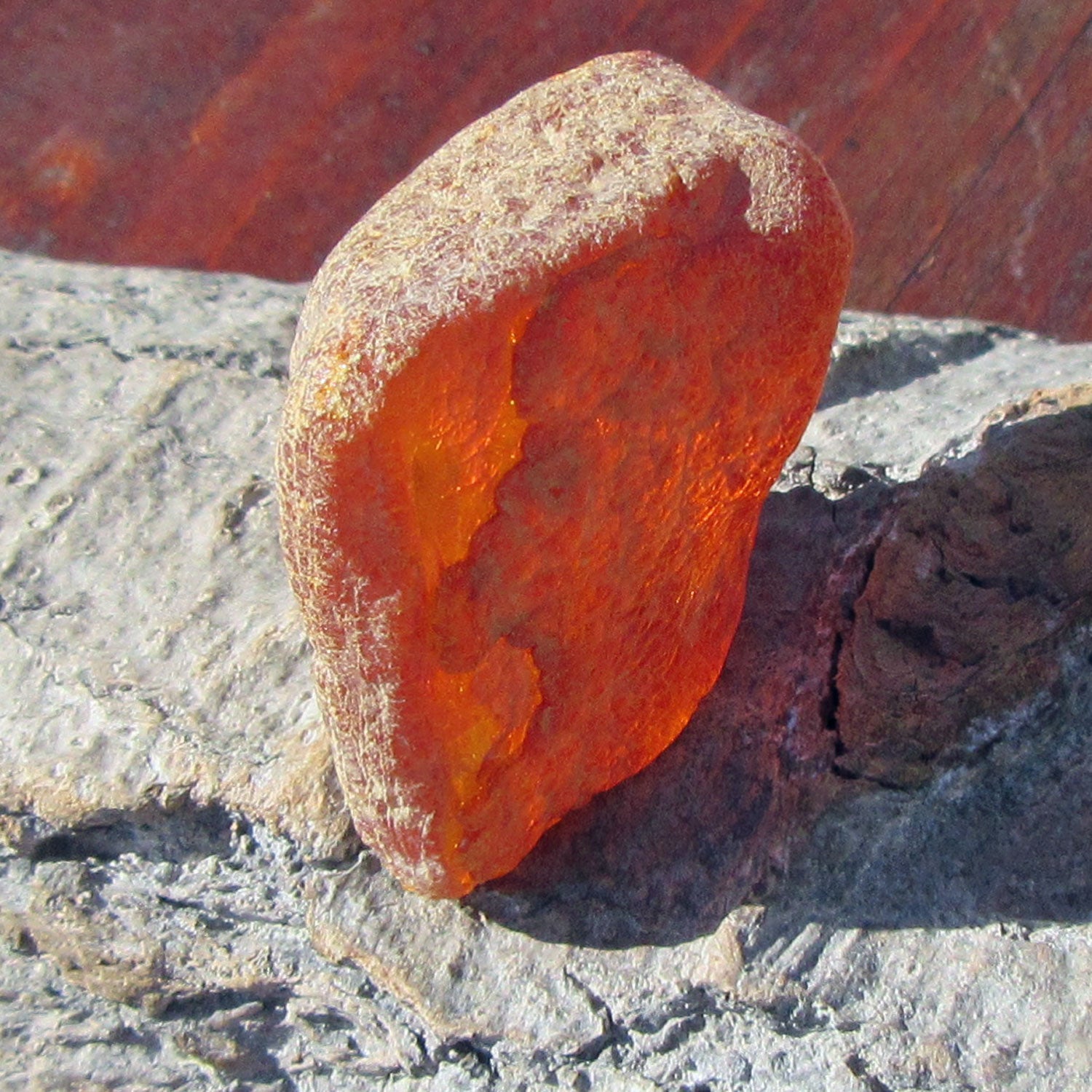 Unpoliertes Bernsteinstück – Natur pur von Rügen