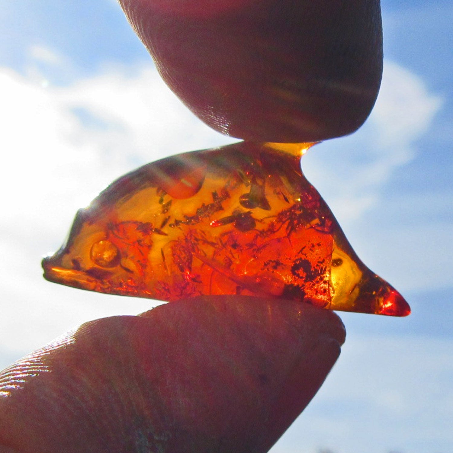 Delfin aus kognacfarbenem Bernstein – Einzelstück von Rügen