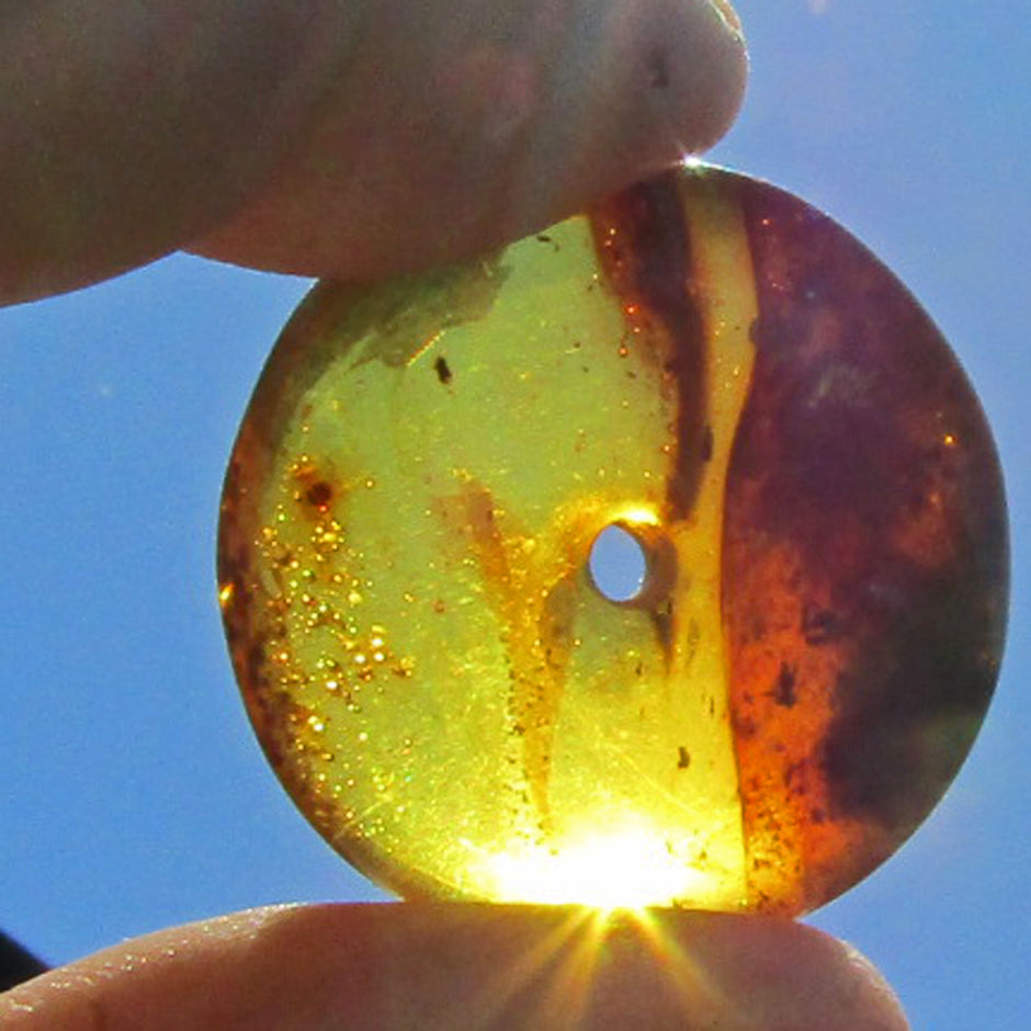 Bernsteindonut von Rügen mit dunklen Einschlüssen